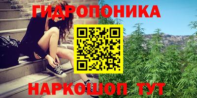 соль ск Моздок