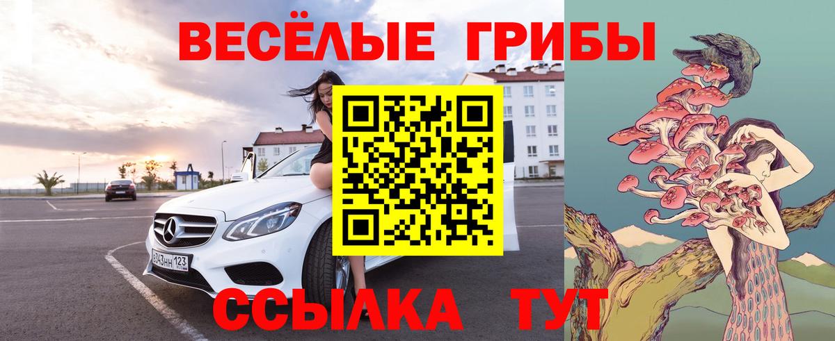 Псилоцибиновые грибы MAGIC MUSHROOMS  Псилоцибиновые грибы Psilocybine cubensis  Вход с VPN  Юрга 