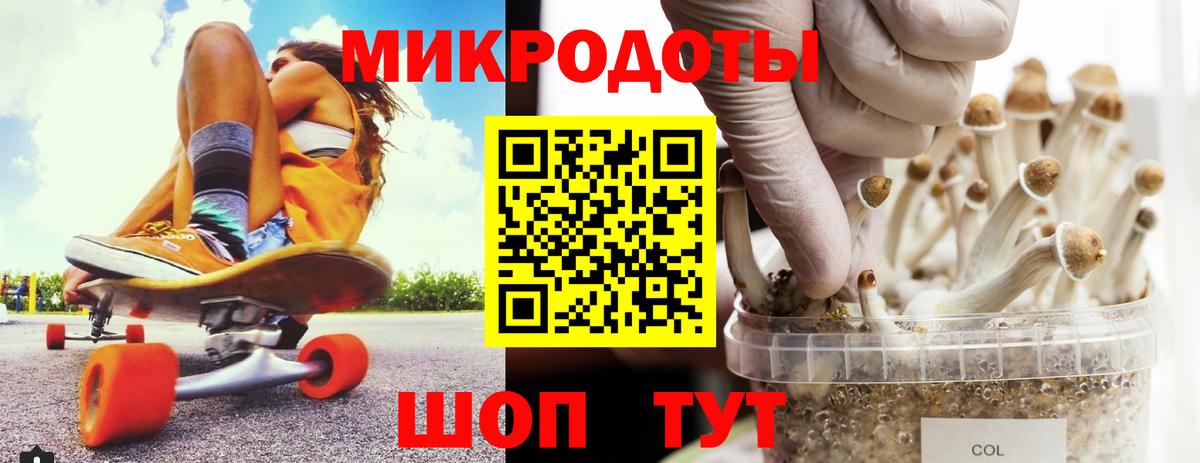 Псилоцибиновые грибы MAGIC MUSHROOMS Юрга